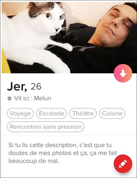 meilleure bio tinder|33 bonnes bios Tinder qui vous aideront à obtenir plus。